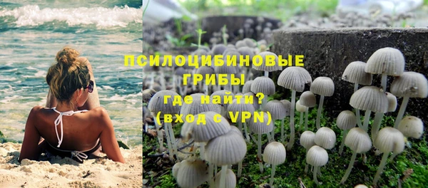 а пвп мука Богородск