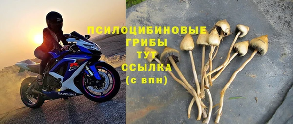 экстази Богородицк