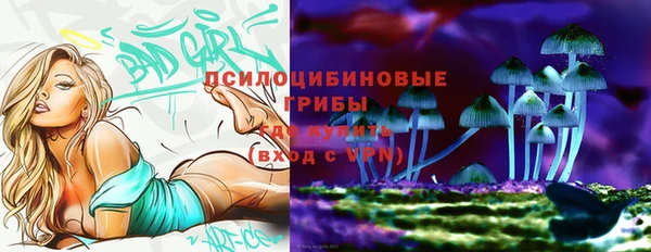 экстази Богородицк