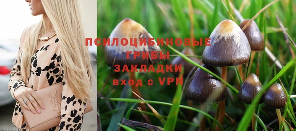 а пвп мука Богородск